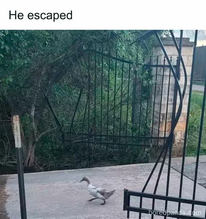 50 Hilarious Memes For All Of Us To Relate To, As Shared By This Facebook Group