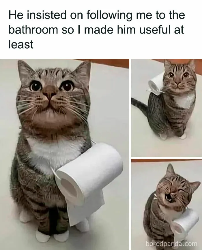 50 Hilarious Memes For All Of Us To Relate To, As Shared By This Facebook Group