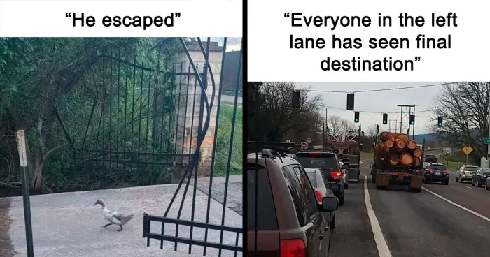 50 Hilarious Memes For All Of Us To Relate To, As Shared By This Facebook Group