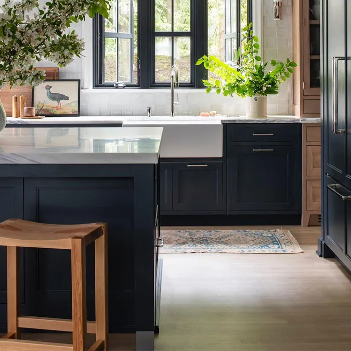 Modern Dark Blue Kitchen Cabinets