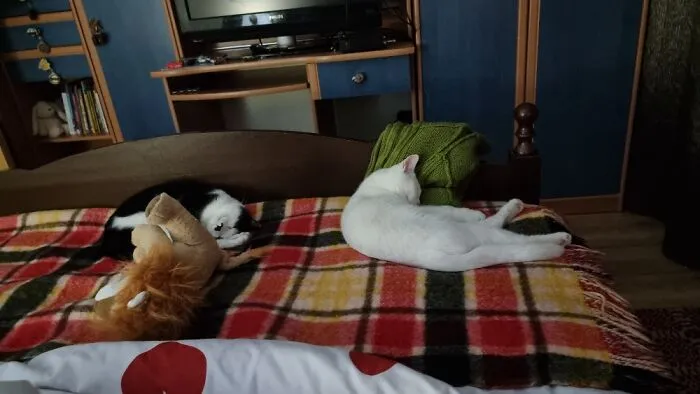 Nina And Apollo