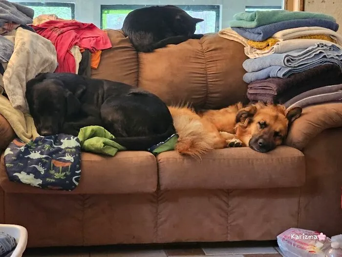 Laundry Day