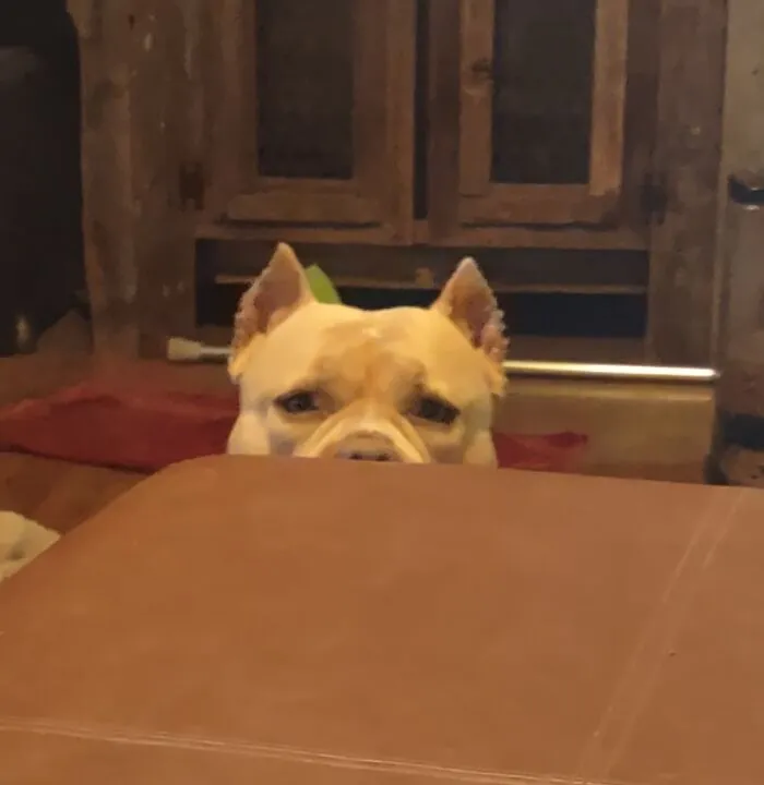 Lilly Mae Playing Peekaboo