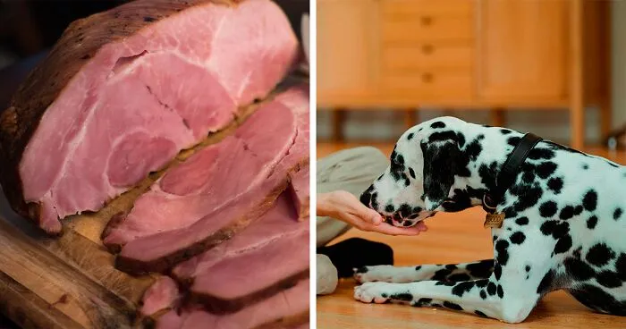 Can Dogs Eat Ham? What You Need to Know