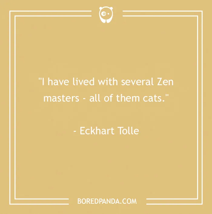 105 Cat Quotes Every Feline Fan Will Like