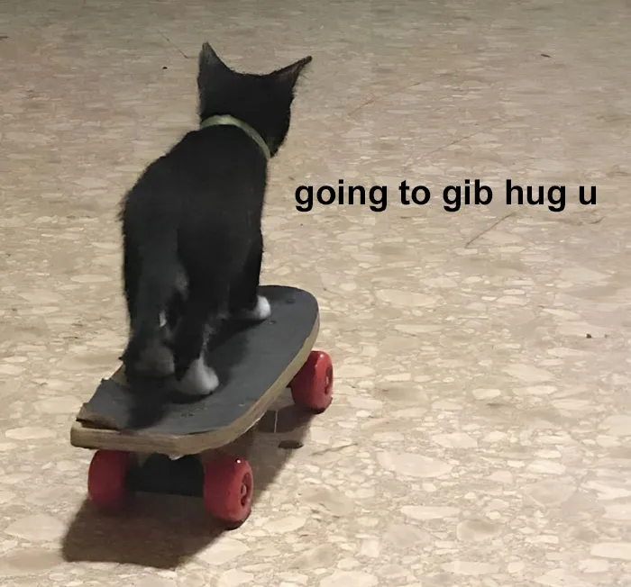 40 Of The Cutest And Most Chaotic Pics From This Twitter Account Dedicated To Cats (New Pics)
