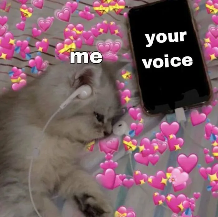 40 Of The Cutest And Most Chaotic Pics From This Twitter Account Dedicated To Cats (New Pics)