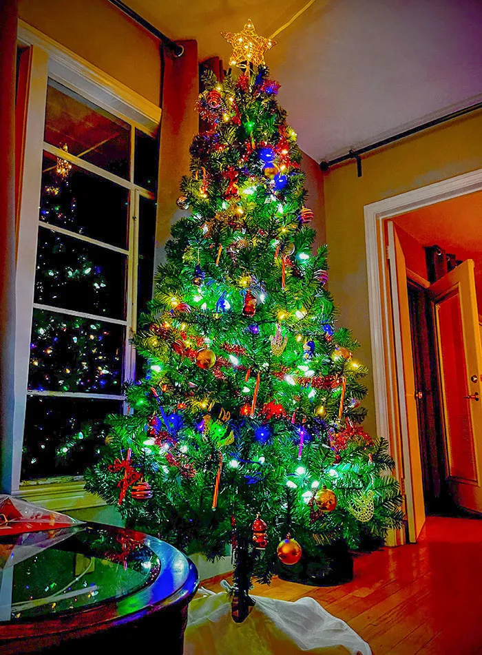 After Two Years Of Depression, I Got My First Tree As A Single Person. Merry Christmas To Everyone
