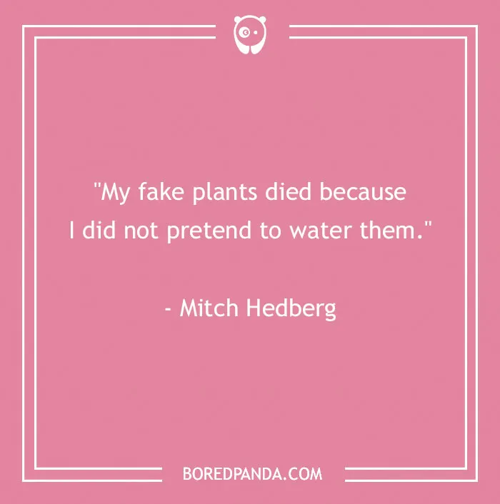 40 Comedy Quotes From Famous Folk That Might Make Your Sides Split From Laughter