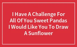 I Have A Challenge For All Of You Sweet Pandas I Would Like You To Draw A Sunflower