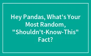 Hey Pandas, What's Your Most Random, "Shouldn't-Know-This" Fact? (Closed)