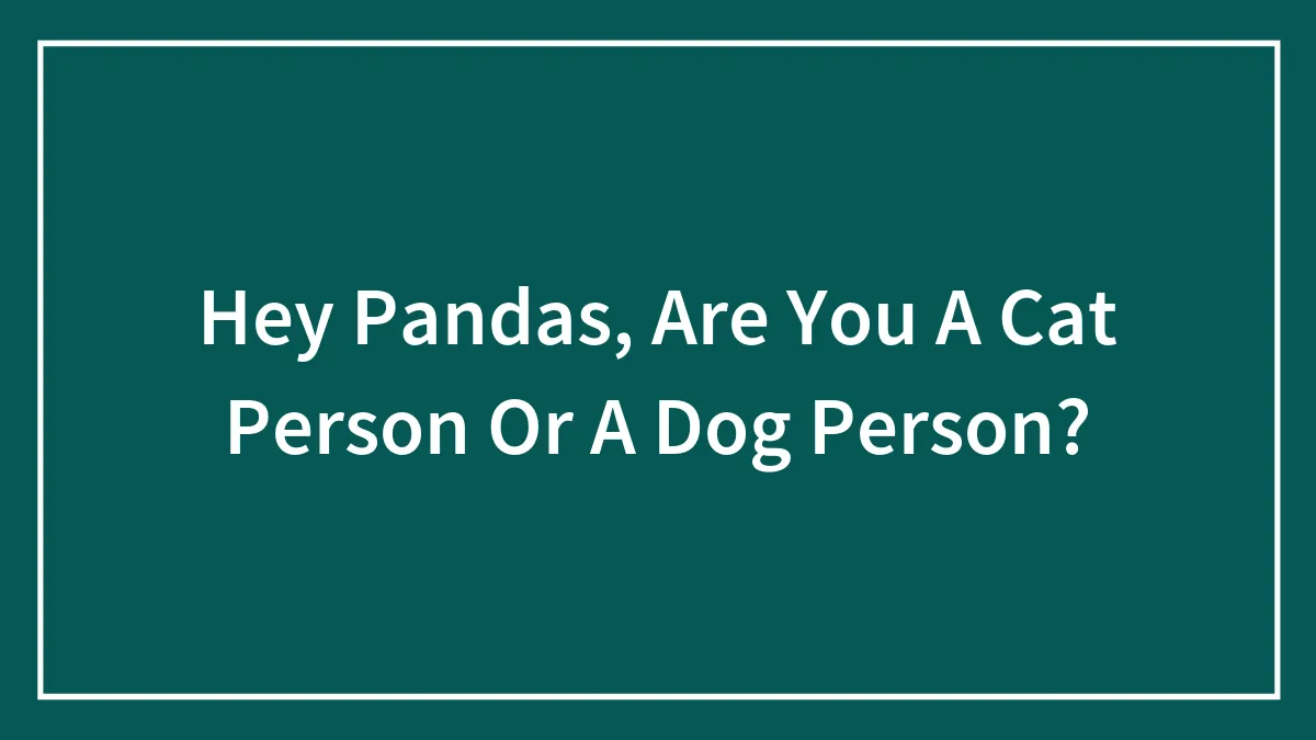 Hey Pandas, Are You A Cat Person Or A Dog Person?