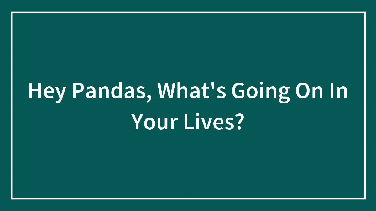 Hey Pandas, What's Going On In Your Lives? (Closed)