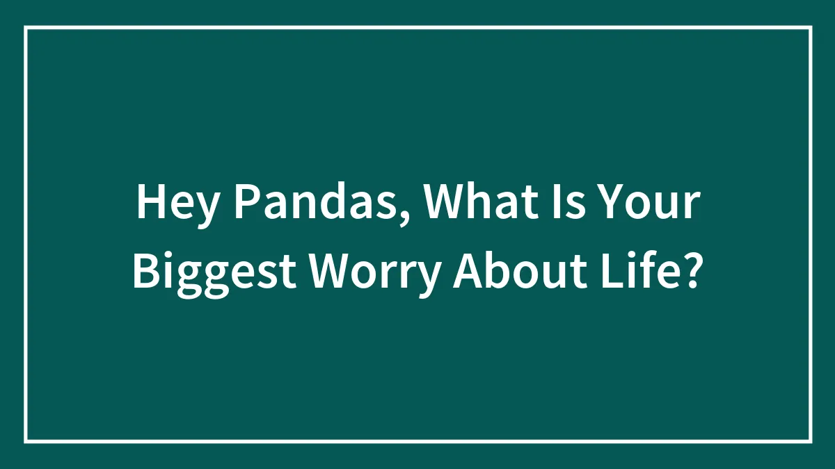 Hey Pandas, What Is Your Biggest Worry About Life? (Closed)