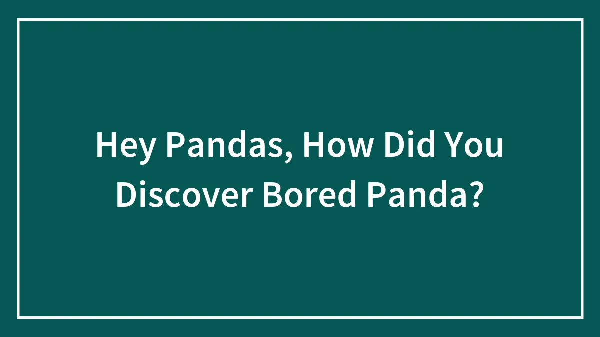 Hey Pandas, How Did You Discover Bored Panda?