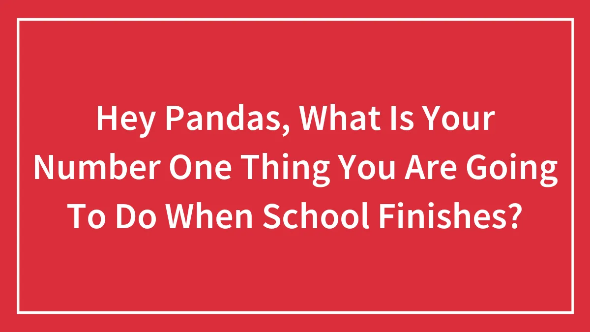 Hey Pandas, What Is Your Number One Thing You Are Going To Do When School Finishes?