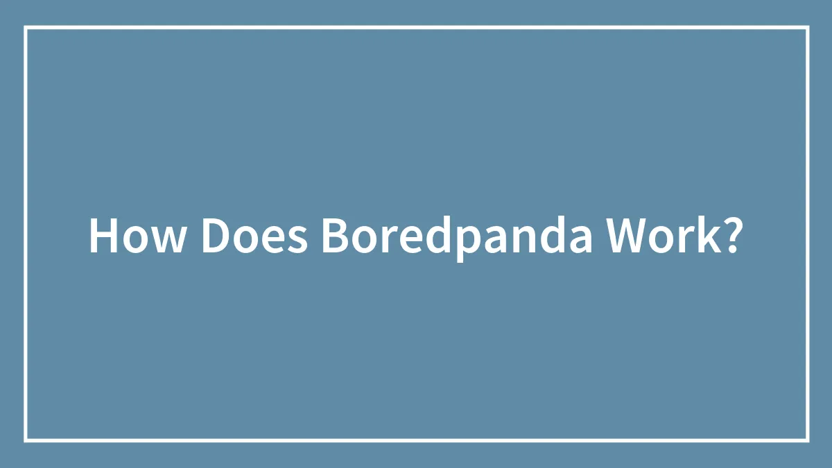 How Does Boredpanda Work?