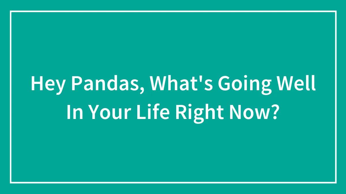 Hey Pandas, What's Going Well In Your Life Right Now? (Closed)