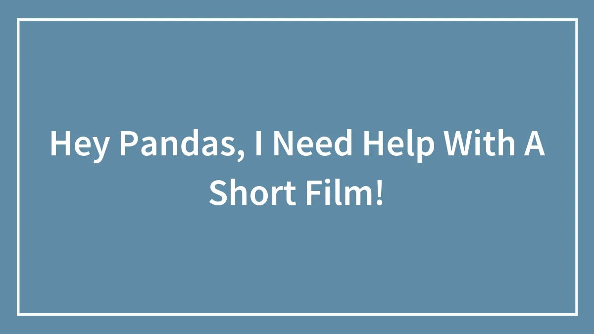 Hey Pandas, I Need Help With A Short Film!