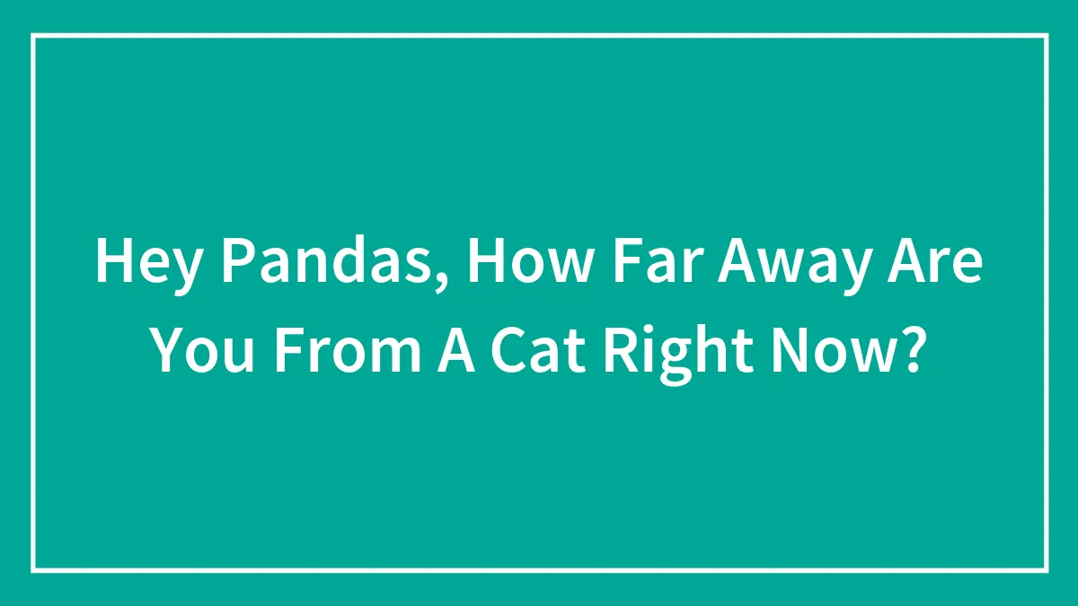 Hey Pandas, How Far Away Are You From A Cat Right Now?