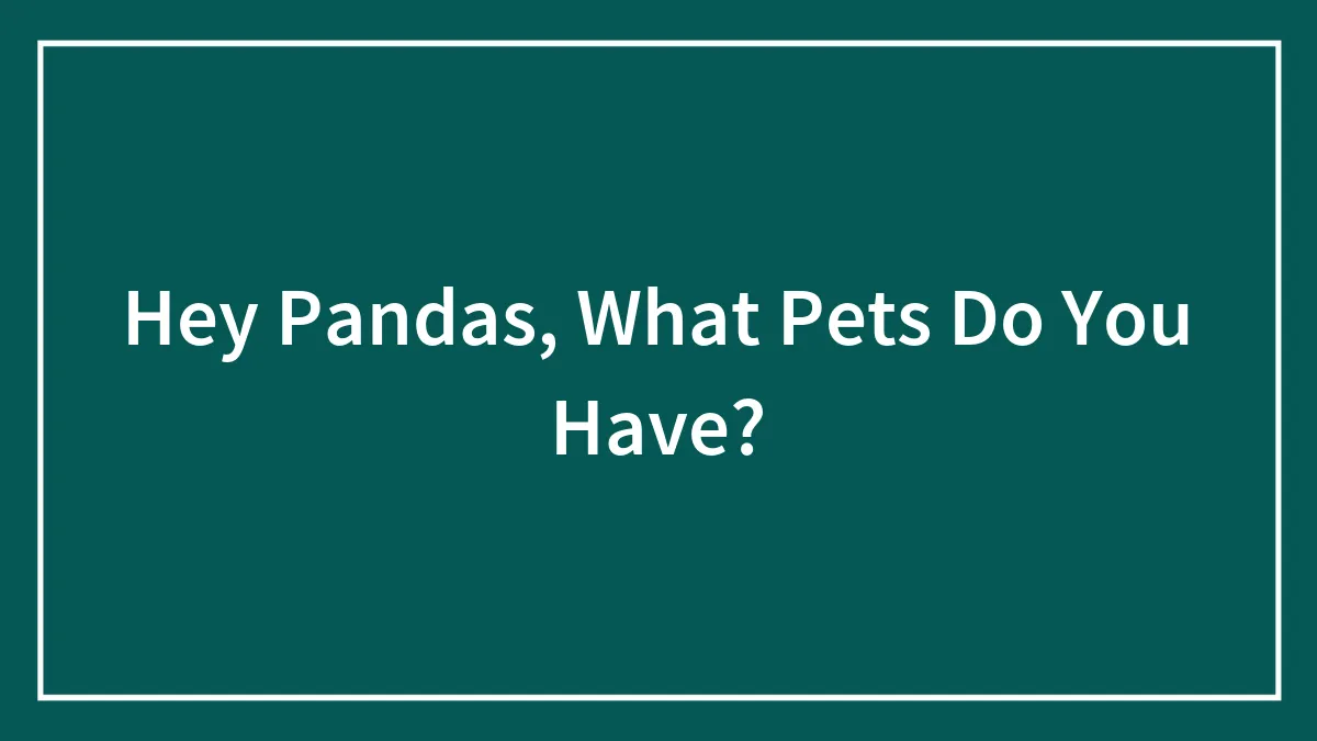 Hey Pandas, What Pets Do You Have? (Closed)
