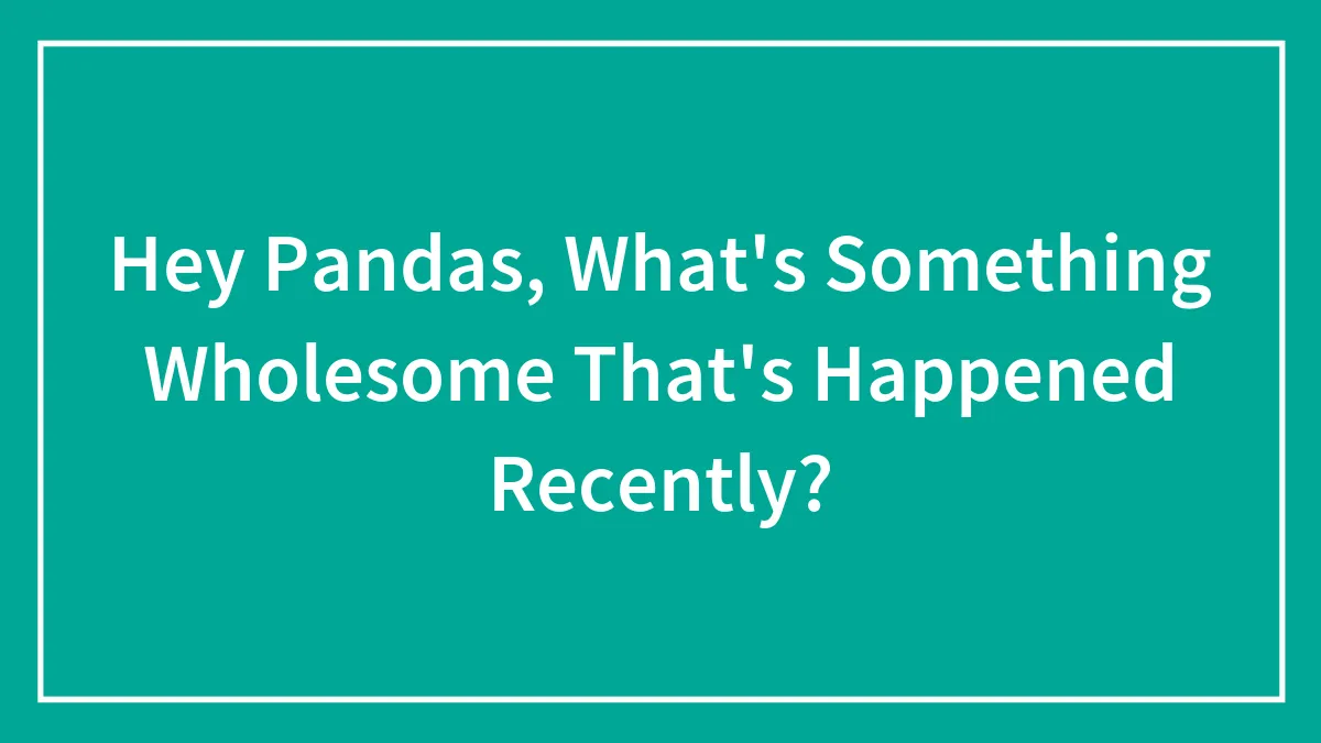 Hey Pandas, What's Something Wholesome That's Happened Recently? (Closed)