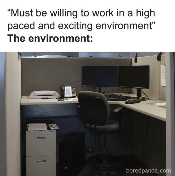 30 Of The Best Memes From “Funny Recruiter” Instagram Page