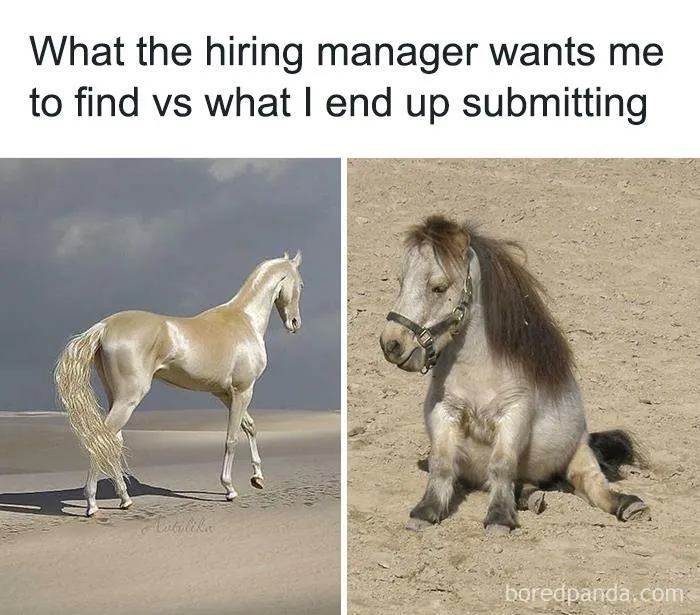 30 Of The Best Memes From “Funny Recruiter” Instagram Page