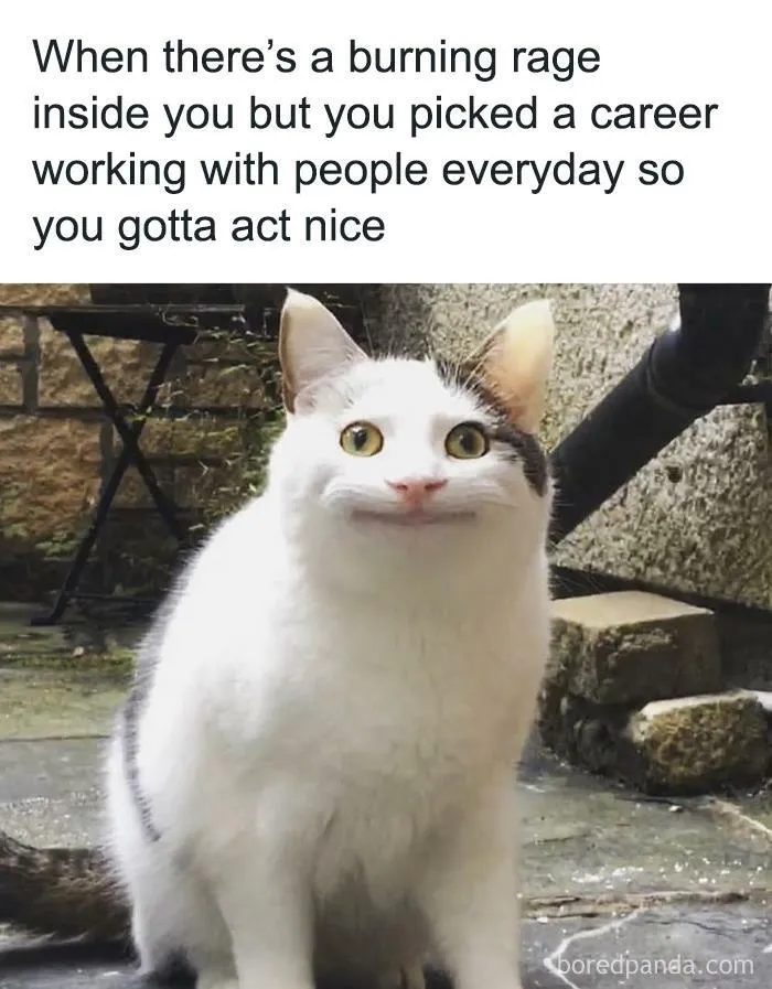 30 Of The Best Memes From “Funny Recruiter” Instagram Page