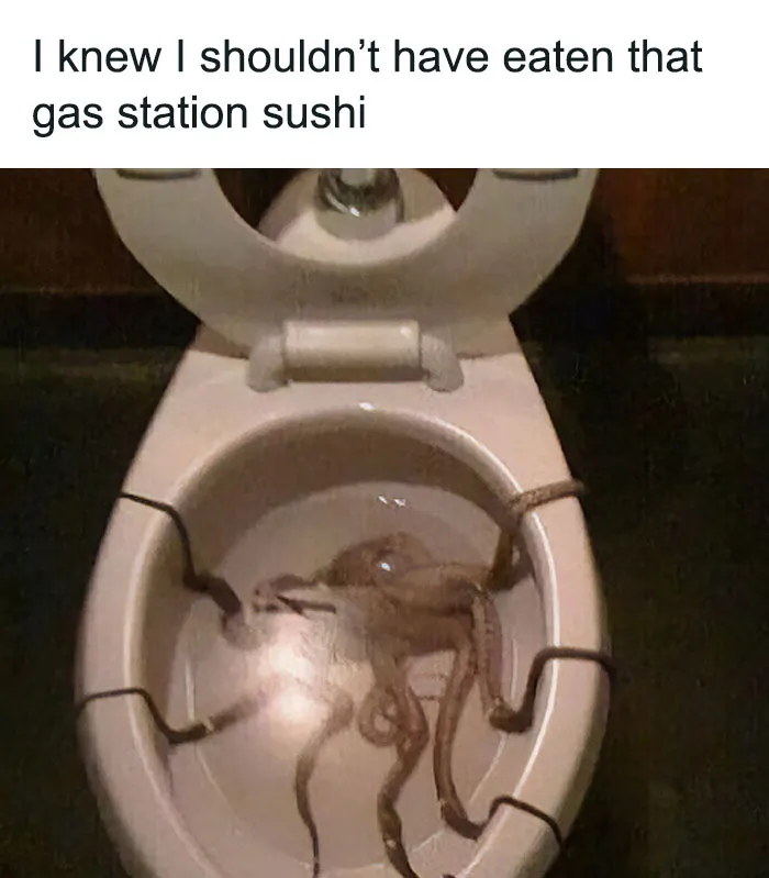 30 Toilets That Were Complete Menaces To Society, As Seen On This FB Group
