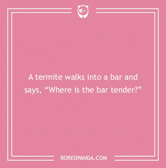 A termite walks into a bar and says, “Where is the bar tender?” one of the many cringe jokes