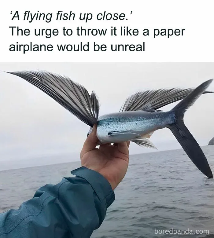 This Online Page Explores “The Darker Side Of Science”, And Here Are 40 Of Their Funniest Posts (New Pics)