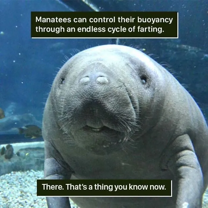 This Online Page Explores “The Darker Side Of Science”, And Here Are 40 Of Their Funniest Posts (New Pics)