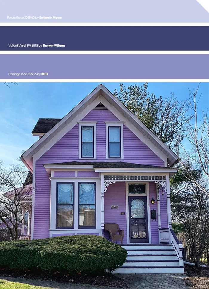Lavender And Purple Shades