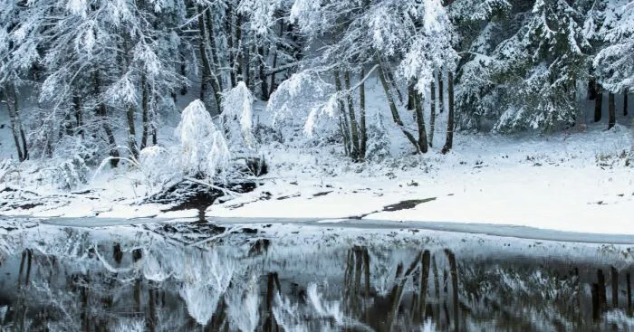 I Captured Frosty Autumn