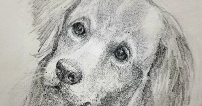 Hey Pandas, Draw A Picture Of Your Pet And Then Post It (Closed)