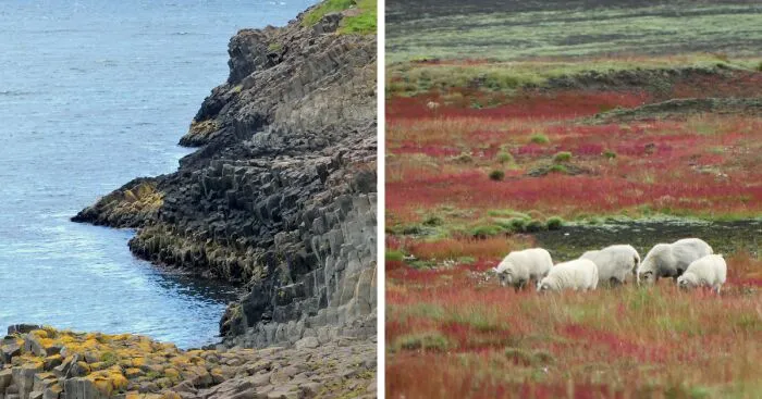 40 Photos Of Iceland That I Took In The Summer Of 2020