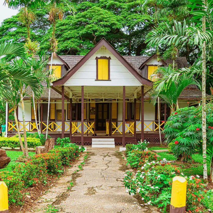#1 Tropical Front Yard