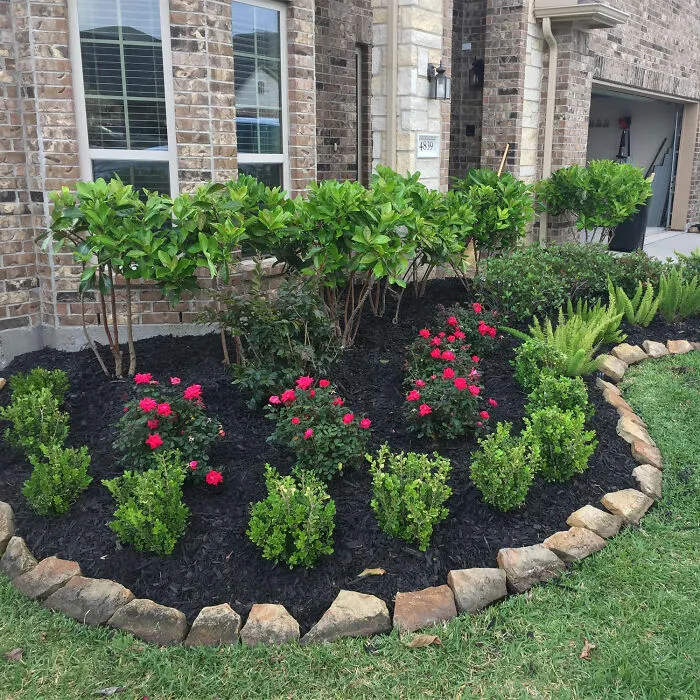 #4 Shrub Flowers With Ferns And Bushes 