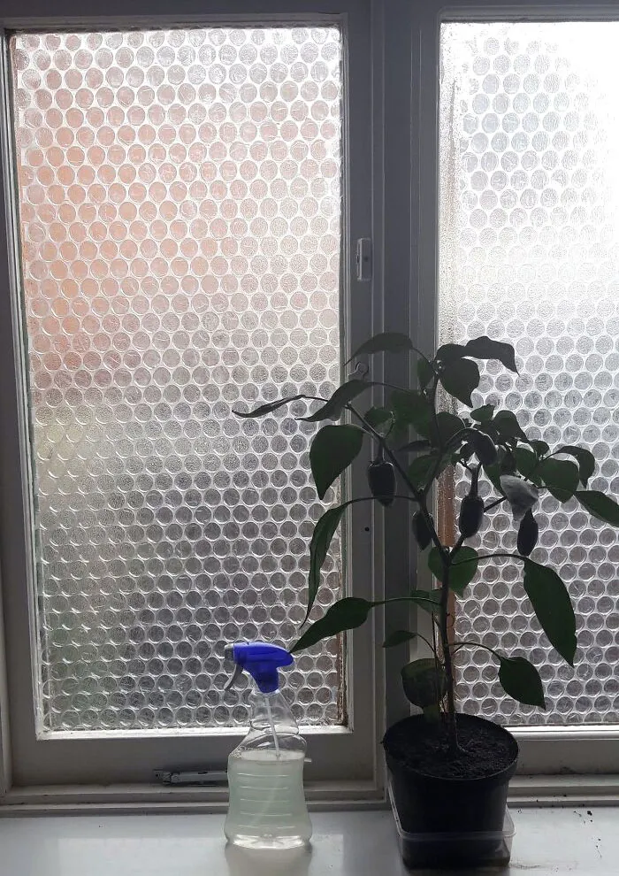 For Cheap Insulation, Put Bubble Wrap On Your Windows To Help Keep The Heat In. Just Spray Them With Water And The Bubble Wrap Will Stick To The Window