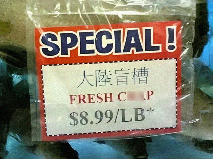 Who's Hungry?