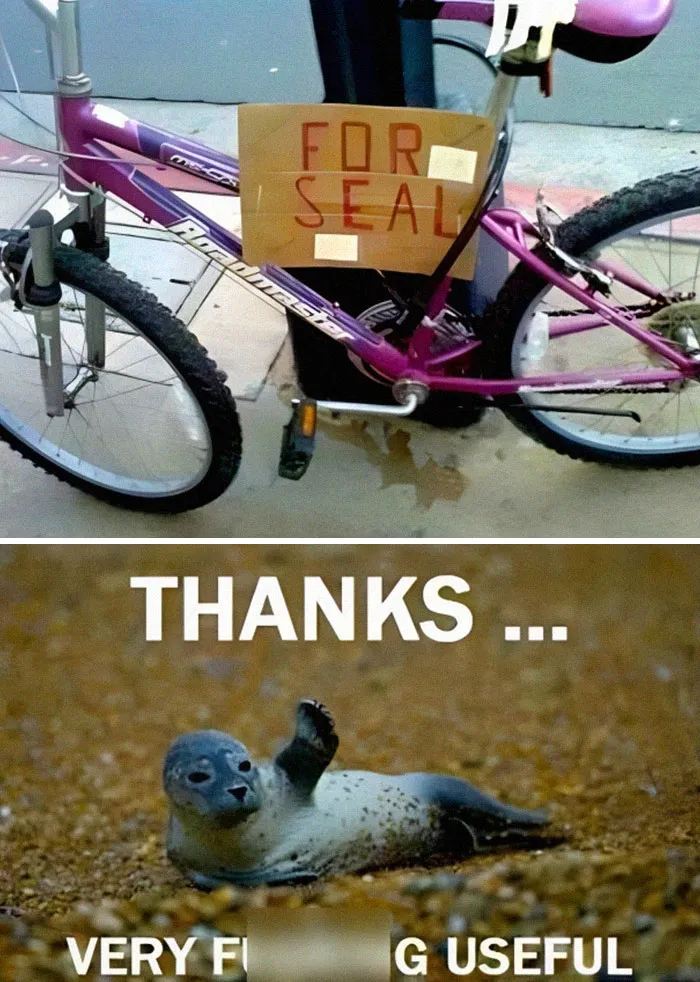 40 Times Translations Went Hilariously South