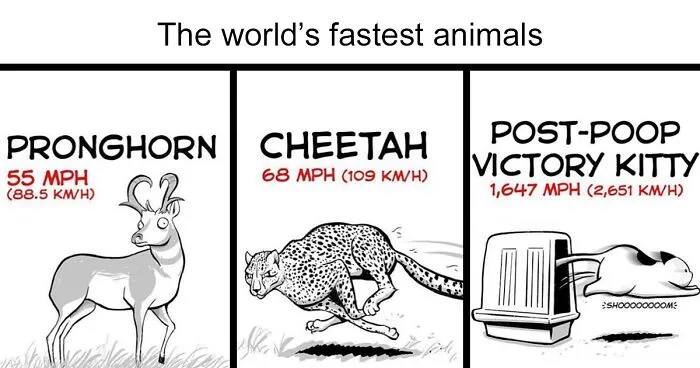 40 Relatable Comics If You've Ever Had A Cat, Created By This Artist (New Pics)