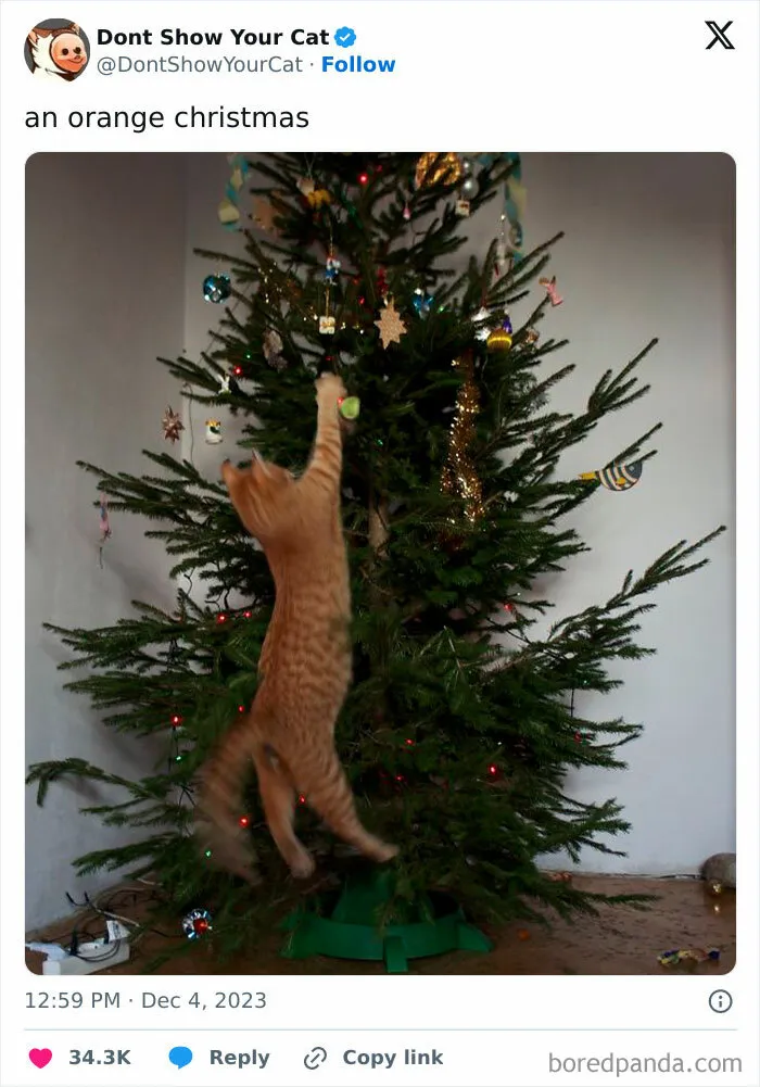It's Actually A Cat Decorating A Christmas Tree