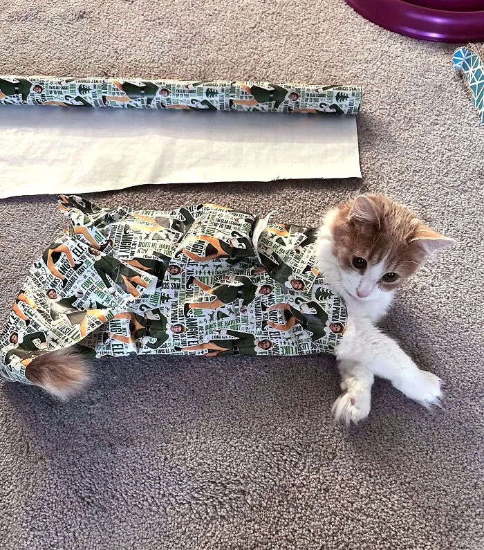 Pancakes Kept Getting In The Way, So He Became The Present (He Had No Complaints)