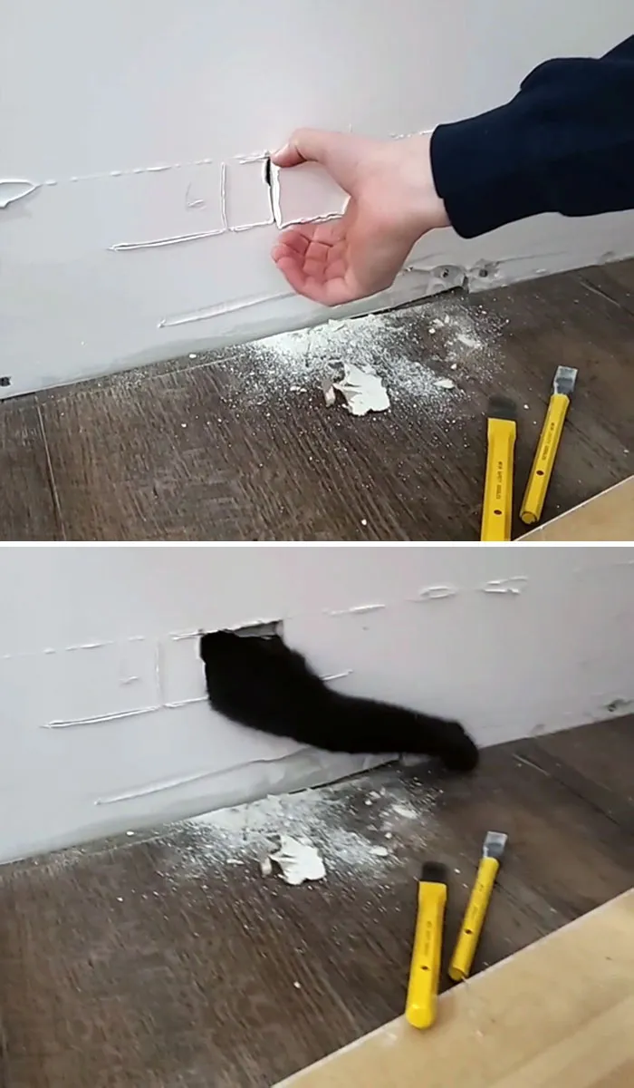 My Cat Got Stuck In The Wall On Christmas Day