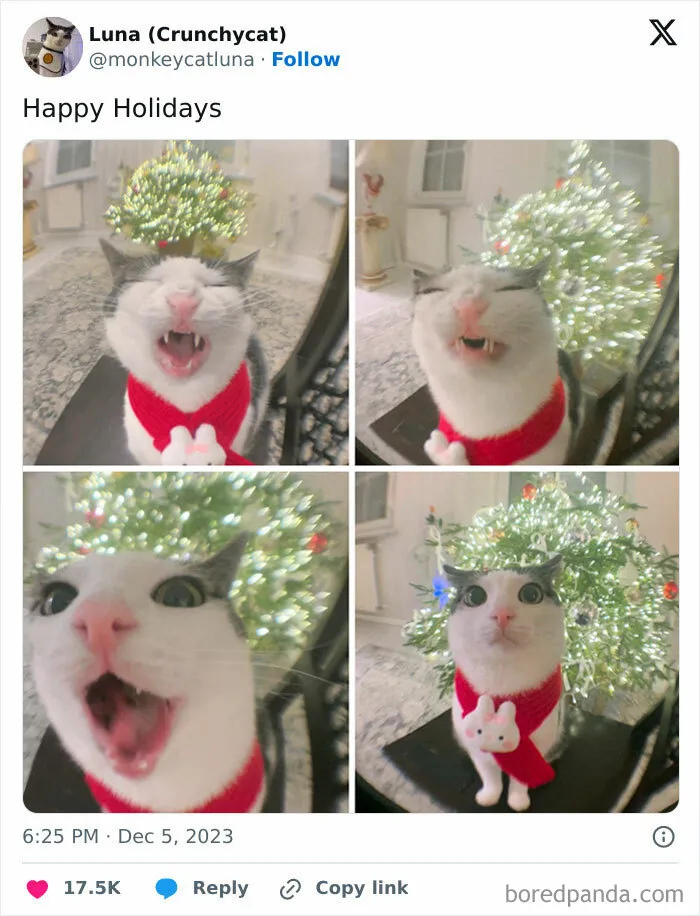 Crunchy Holidays