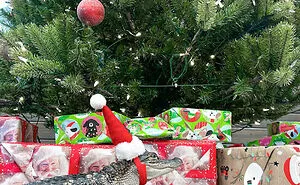 50 Times Pets Made Christmas A Holiday To Remember, For Better Or Worse