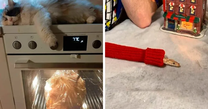 50 Times Pets Made Christmas A Holiday To Remember, For Better Or Worse