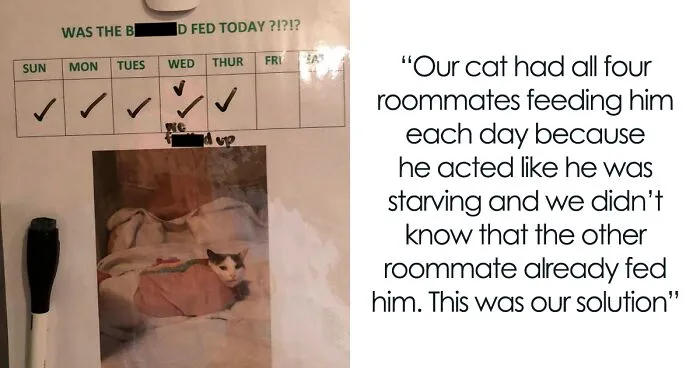 50 Posts From People Who Shamed Their Roommates Online And Rightfully So
